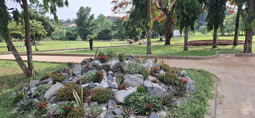 rock garden
